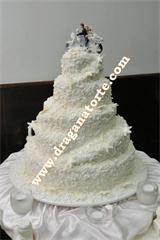 Mladenačke torte