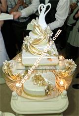 Mladenačke torte