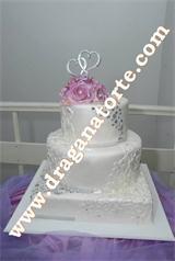Mladenačke torte