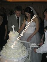 Mladenačke torte